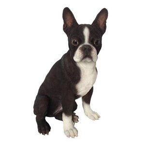 Dog Boston Terrier Statue