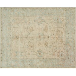 Vincent Hand-Knotted Stone/Mist Area Rug
