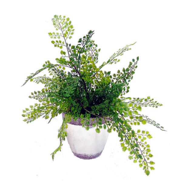 Creative Branch Faux Maidenhair Fern Desk Top Plant & Reviews Wayfair.ca