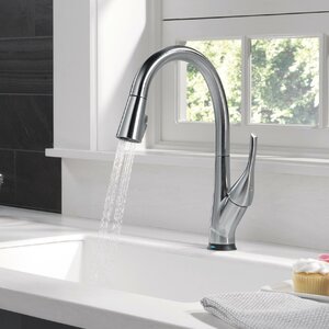 Esque Single Handle Pull Down Kitchen Faucet with Touch2O Technology
