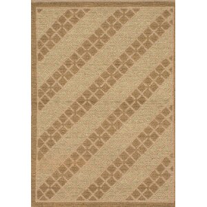 Impressions Braid Hand-Woven Brown Area Rug