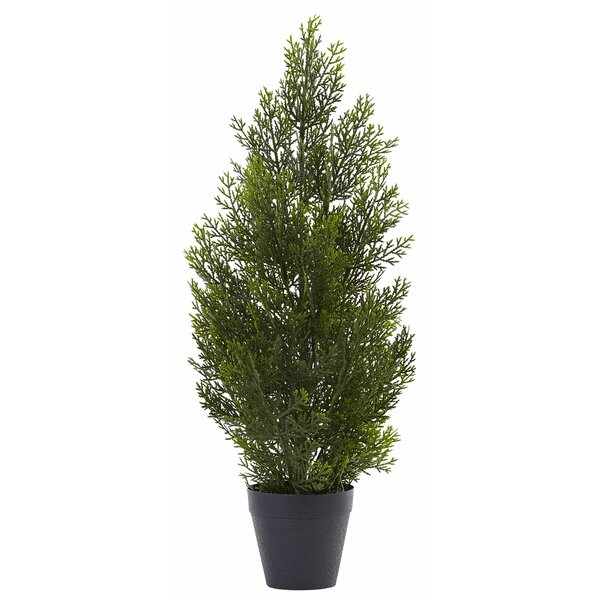 Nearly Natural Mini Cedar Pine Tree in Pot & Reviews | Wayfair