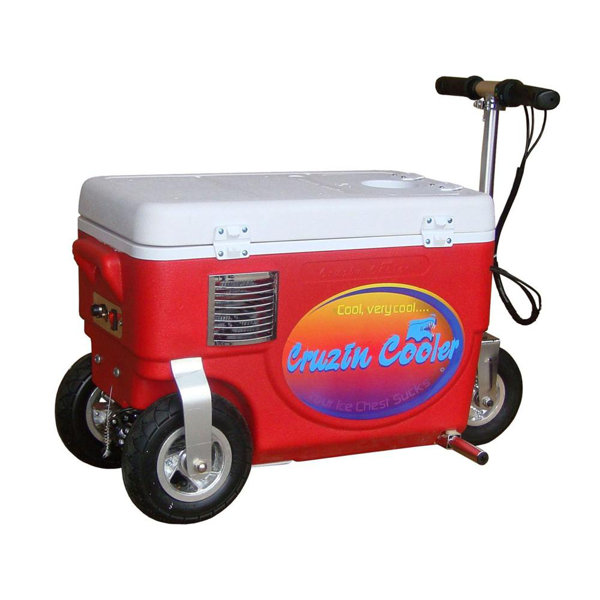 Big Toys 30 Qt. 1000W Scooter Electric Cooler Wayfair