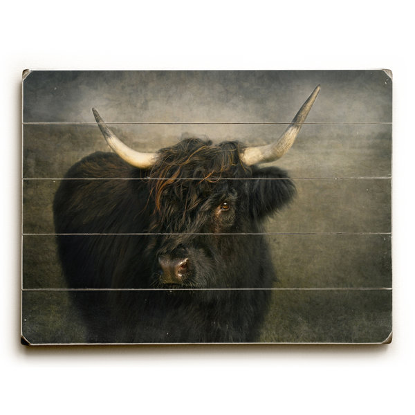 Bull Wall Decor & Reviews Joss & Main