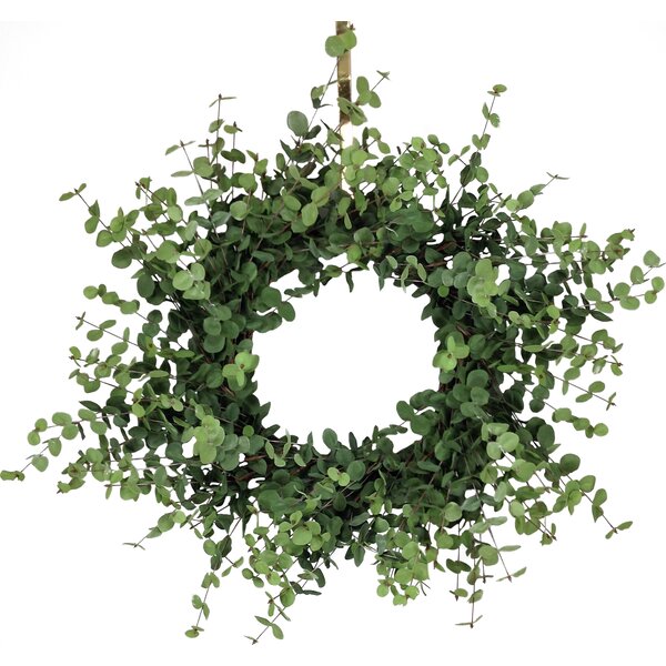 Faux Eucalyptus Wreath & Reviews | Joss & Main