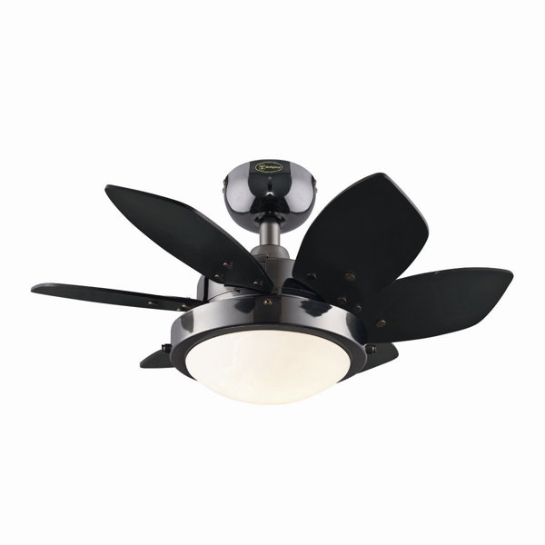 Westinghouse Lighting 24 Quince 6 Blade Ceiling Fan Reviews Westinghouse Lighting 24 Quince 6 Blade Ceiling Fan Reviews Wayfair