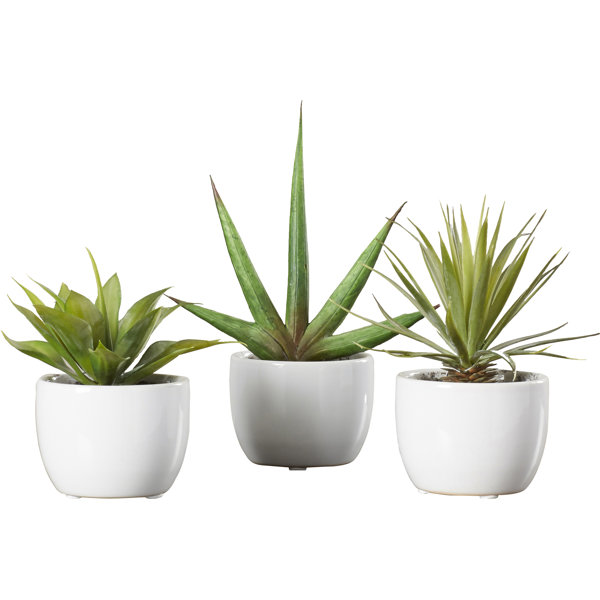 Modern Faux Plants + Florals AllModern