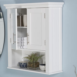 Andover Mills Reichman 22.5" W x 24.5" H Wall Mounted Cabinet ...