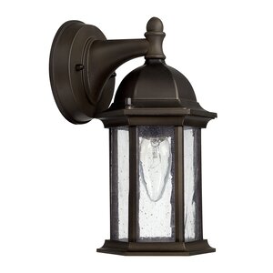 Hearne 1-Light Outdoor Wall Lantern