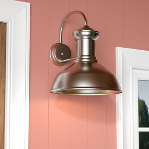 Elianna 1-Light Glass Shade Outdoor Barn Light