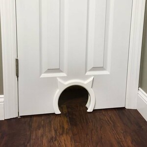 Interior Cat Door