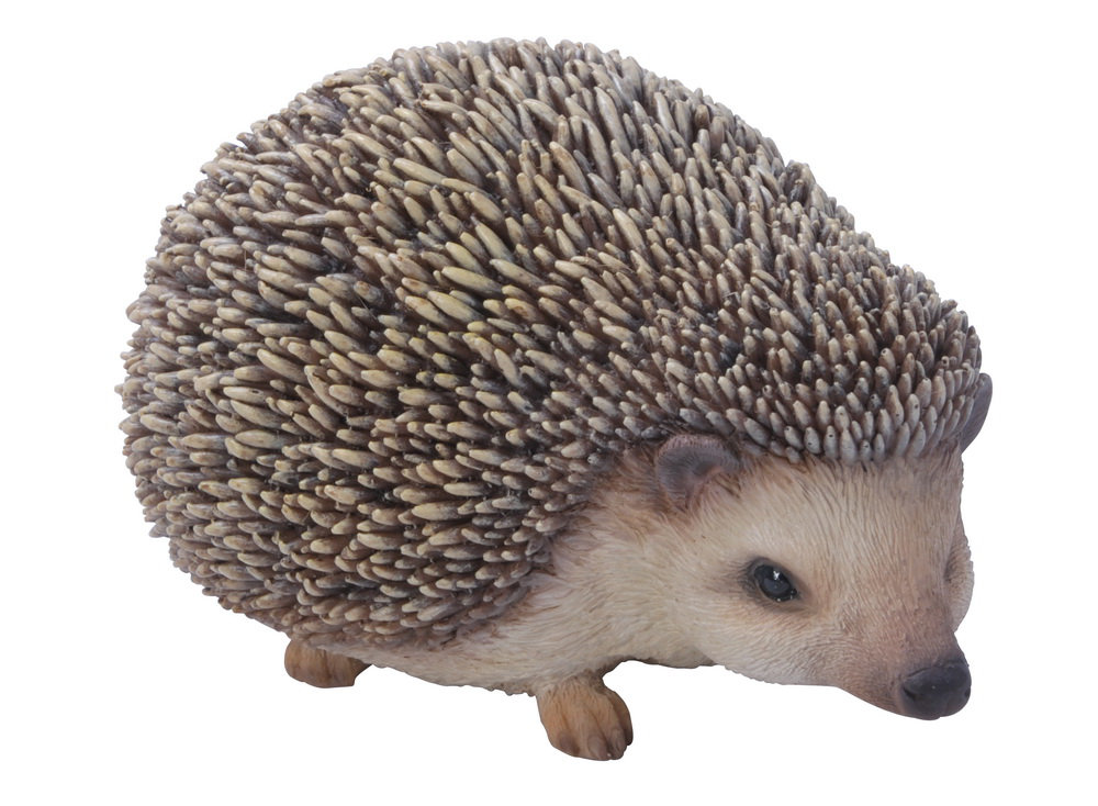 HiLine Gift Ltd. Sitting Hedgehog Statue & Reviews Wayfair.ca