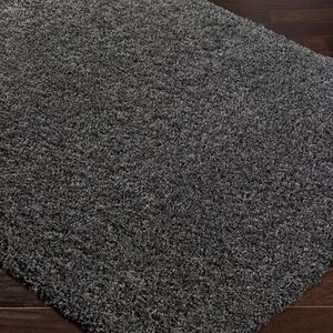 Roberto Solid Gray Area Rug