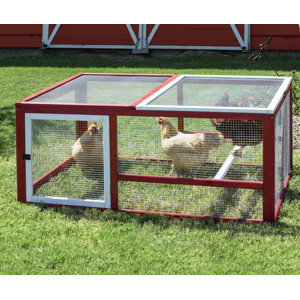 Cole Old Barn II Chicken Run with Roosting Bar