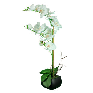 Faux Orchid In Pot Wayfair Quickview