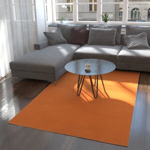 Risley Orange Area Rug