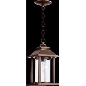 Crusoe 1-Light Outdoor Hanging Lantern
