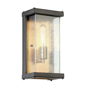 Anguiano 1-Light Outdoor Wall Lantern
