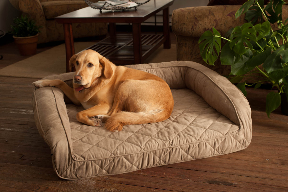Buddy Beds Luxury Memory Foam Sofa Dog Bed & Reviews Wayfair