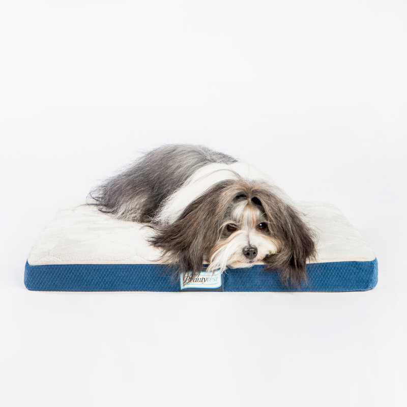 R2PPetLtd. Beautyrest Thera Bed Orthopedic Memory Foam Dog ...
