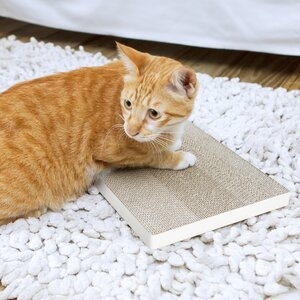 Eco Friendly Scratching Board