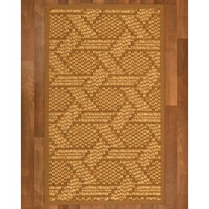 Aalin Hand-Woven Brown Area Rug