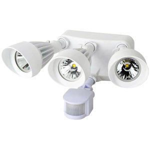 LED Outdoor Spotlight