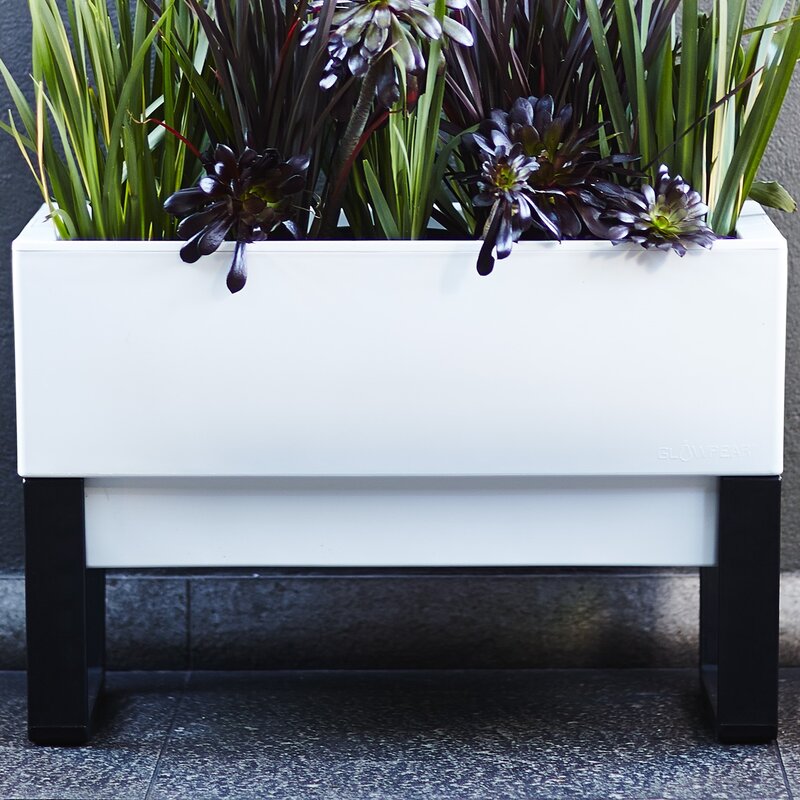 Glowpear Self-Watering Plastic Planter Box &amp; Reviews | Wayfair