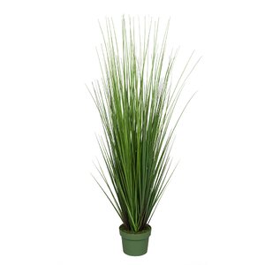 Artificial Grass in Pot