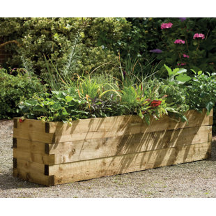 Raised Garden Trough Wayfair Co Uk