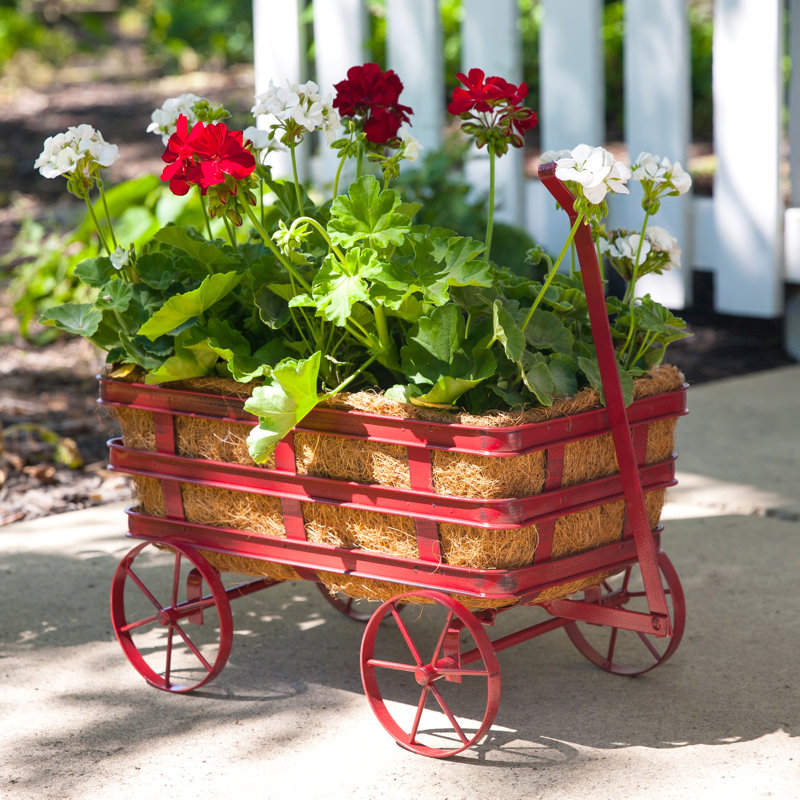 Viggo Industrial Metal Wheelbarrow Planter Reviews Joss Main