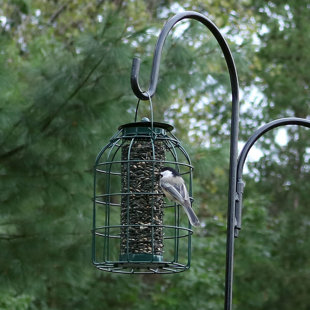 Bird Feeders You Ll Love Wayfair Augustin Wire Squirrel Proof Bird Feeder