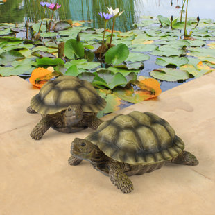 Outdoor Turtle Statues Wayfair Gilbert The Box Turtle Statue Set Of 2