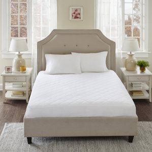 All Natural Hypoallergenic Mattress Protector by Alwyn Home