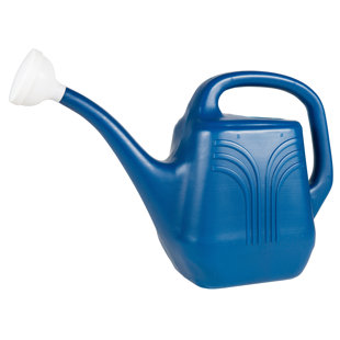 Watering Cans You Ll Love Wayfair Watering Cans