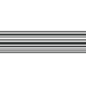 16.3' x 5.9