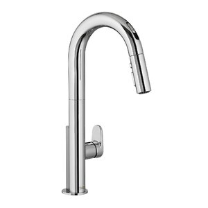 Beale Single-Handle Pull Down Kitchen Faucet