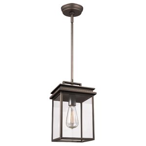 Krupa 1-Light Outdoor Hanging Lantern