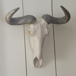 Bull Skull Wall Decor faux taxidermy wall accents you'll love | wayfair Bull Skull Wall Decor faux taxidermy wall accents you'll love | wayfair