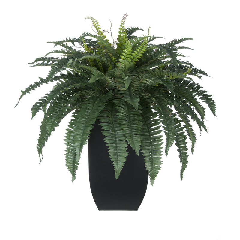 House of Silk Flowers Artificial Fern Floor Plant in Planter & Reviews