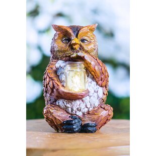 Owl Sitting with Fairy Lights in Jar review