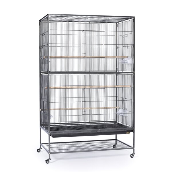 Prevue Hendryx Extra Large Flight Bird Cage & Reviews | Wayfair