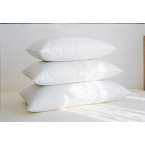 100% Down Pillow by Alwyn Home