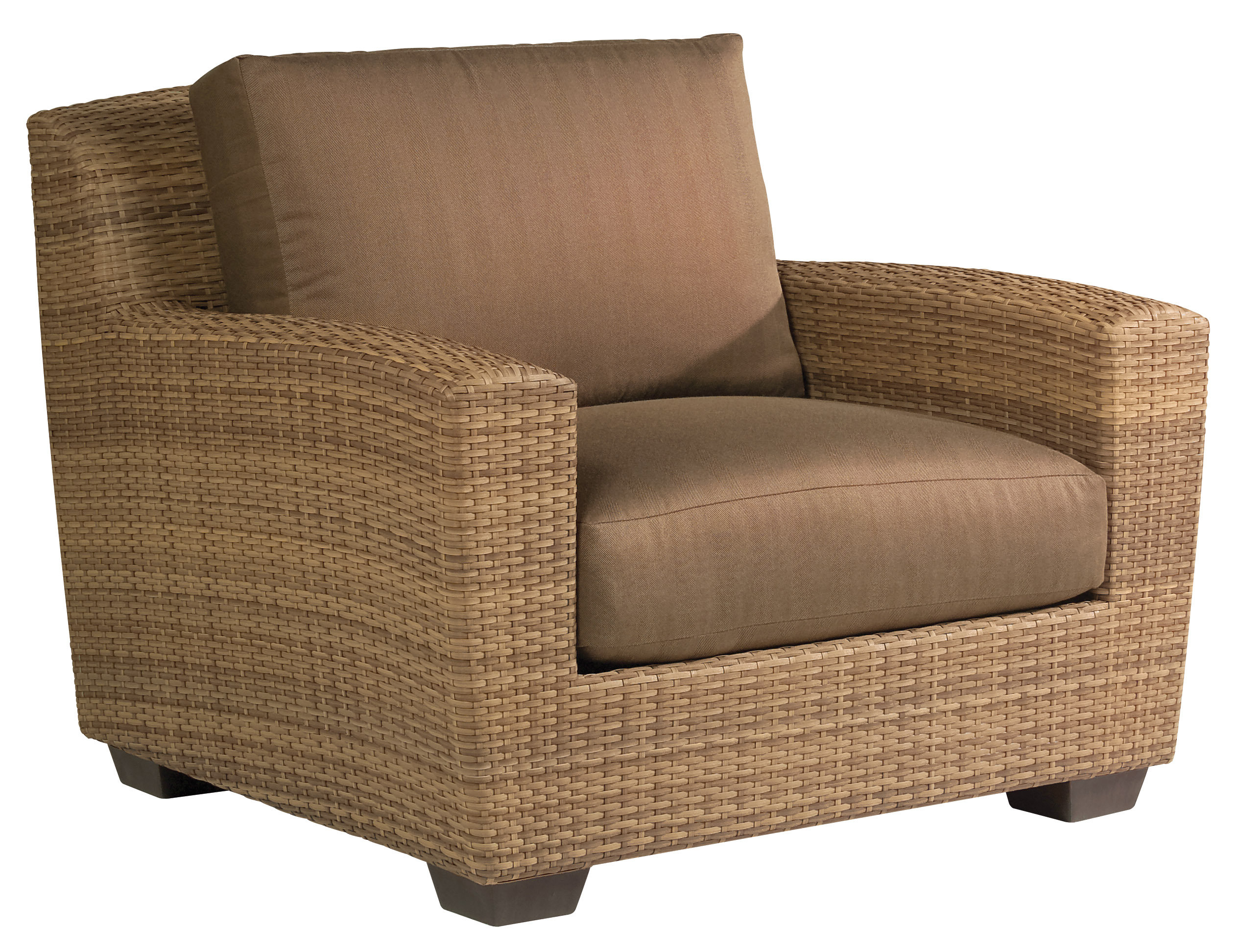 Woodard Saddleback Patio Chair With Cushions Wayfair