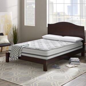 Wayfair Sleep 14