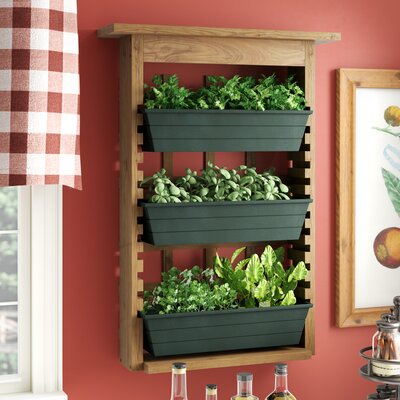 Wall Planters &amp; Vertical Gardens You'll Love | Wayfair