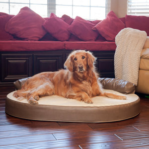 Orthopedic Memory Foam Leatherette Joint Relief Bolster Dog Bed