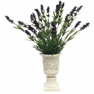 French Lavender in French Country Urn