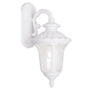 Gurnee 1-Light Outdoor Wall Lantern