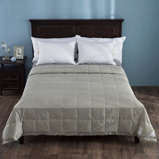 Lightweight Summer Down Comforters Duvet Inserts You Ll Love Light Weight Down Duvet Insert